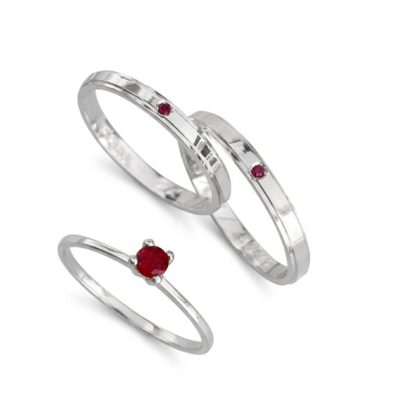 Horizonte Compartido